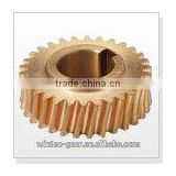 Taiwan OEM worm gear for reducer and reduction gearbox