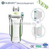Increasing Muscle Tone Powerful Cooling System Fat Loss Cryolipolysis Vacuum Rf Machine Cryolipolysis Slimming Fat Freezing thumbnail-2