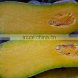 FRESH PUMPKIN +84963818434 Whatsapp thumbnail-4