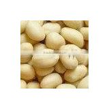 High Quality Blanched Peanuts