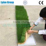 Full Automatic Corn Sprout Growing Unit/hydroponic Fodder Solution With Hydroponic Green Tray thumbnail-1