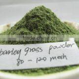 High Quality Dried Barley Grass Powder Supplier thumbnail-4