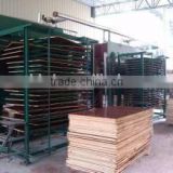 okoume wood commercial plywood/1220x2440x18mm black film faced plywood/1220x2440x18mm black film faced plywood