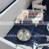 *pig/goat Farm Plastic Slat Floor thumbnail-2