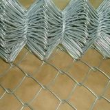 Special design chain link wire mesh fencing / pvc coated garden chain link fence