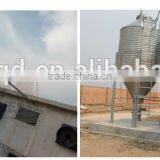 Mother Pig Stall Low Price Pig Birthing Stall thumbnail-1