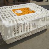 live chicken crate poultry transport cage