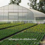 Large Size Commercial Greenhouse Hydroponics thumbnail-1