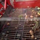 Good Price Top Quality Hydraulic Tractor PTO Use Automatic Two Rows Potato Combine Harvester Digger With CE Certification thumbnail-4