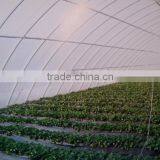 Removable Vegetables Greenhouse thumbnail-1