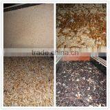 Pet Food Microwave Dried Mealworm Animal Food thumbnail-5