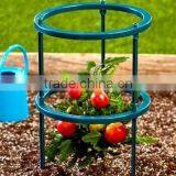 Plastic Tomato Support thumbnail-1