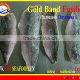 FROZEN GOLD BAND FUSILIER FILLET thumbnail-1