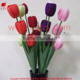 Colorful Wholesale Cheap Tulip Flower for Decoration thumbnail-3