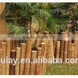 Low Bamboo Border & Edging Fence thumbnail-4