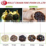 Healthy and Safe Product Black Garlic Expoeters in China thumbnail-2