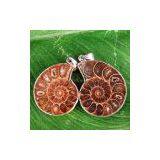 Ammonite Fossil Earrings