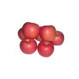 Fresh Apple thumbnail-1