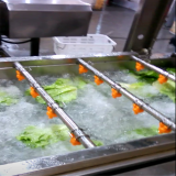 Vegetable Bubble Washing Machine Fruit Washing Machine thumbnail-2