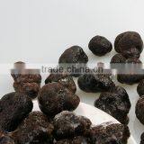 Fresh Black Truffle With Best Quality thumbnail-3