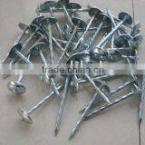 Roofing Nails With Umbrella Head