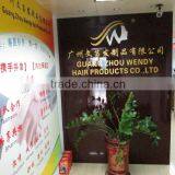 Guangzhou Wendy Hair Products Co., Ltd. company overview - view 2 thumbnail