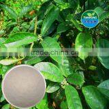 Morinda Officinalis How Bacopin Extract of High Quality
