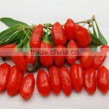 GOJI A280 GRAINS/50G thumbnail-1