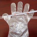 Disposable Polyethylene Glove thumbnail-5