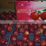 Fresh Apple of Fruit Vegetable thumbnail-1