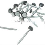 EG Neo Washer Roofing Nail,Factory,