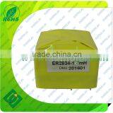ER2834 High Frequency Transformer Power Transformer
