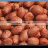 Groundnut thumbnail-1