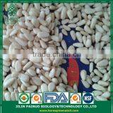 Wholesale Factory Direct Top Quality Chines Red Korean Pine Nut Kernels thumbnail-4