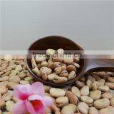 High Quality Dry Broad Beans / Faba Beans / Fava Beans Seed for Cannery thumbnail-2