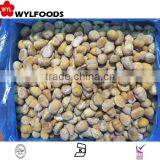 Iqf Chestnut Peeled With Good Quality thumbnail-4