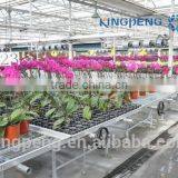 Polycarbonate Board Greenhouse thumbnail-2