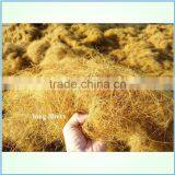 Hot Sale Big Production Empty Fruits Bunch Long Fibre Machine 110/132KW From Experienced Chinese Supplier for Machinery thumbnail-1