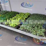 390 Seed Discharging Danish Flower Trolley thumbnail-6