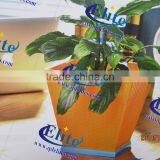 Interior Decorative Pots thumbnail-5