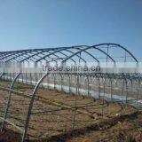2016 New Easy Assembled Tunnel Greenhouse thumbnail-4