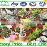 Galvanized Steel Frame Middle East/Africa uv Treated Multi Span Plastic Tunnel Commercial Greenhouse thumbnail-5