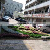 Decorative Artificial Plant Wall thumbnail-2
