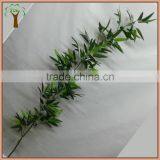 Artificial Lucky Bamboo Plant Bamboo Tree for Landscape Decoration thumbnail-1