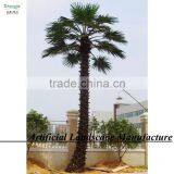 2016 Outdoor Decorative Metal Palm Trees Make Sale Artificial Palm thumbnail-2