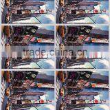 Custom Plastisol Heat Transfer for T-shirt thumbnail-4