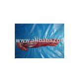 Beef Tenderloins thumbnail-1