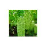 Bitter Melon Extract thumbnail-1