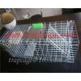 Humane Catch Bird Galvanized Cage Trap