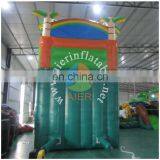 Palm Inflatable Water Slide/long Inflatable Water Slide thumbnail-3